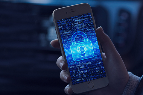 Dia Internacional da Privacidade de Dados